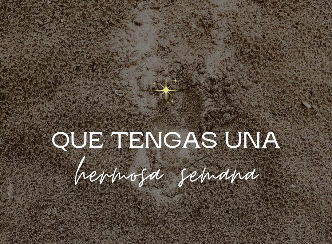 BerndtMonroy's tweet photo. ✨️Buenos días, que tenga una hermosa semana✨️

✨️Good morning✨️ https://t.co/vInat6SFou