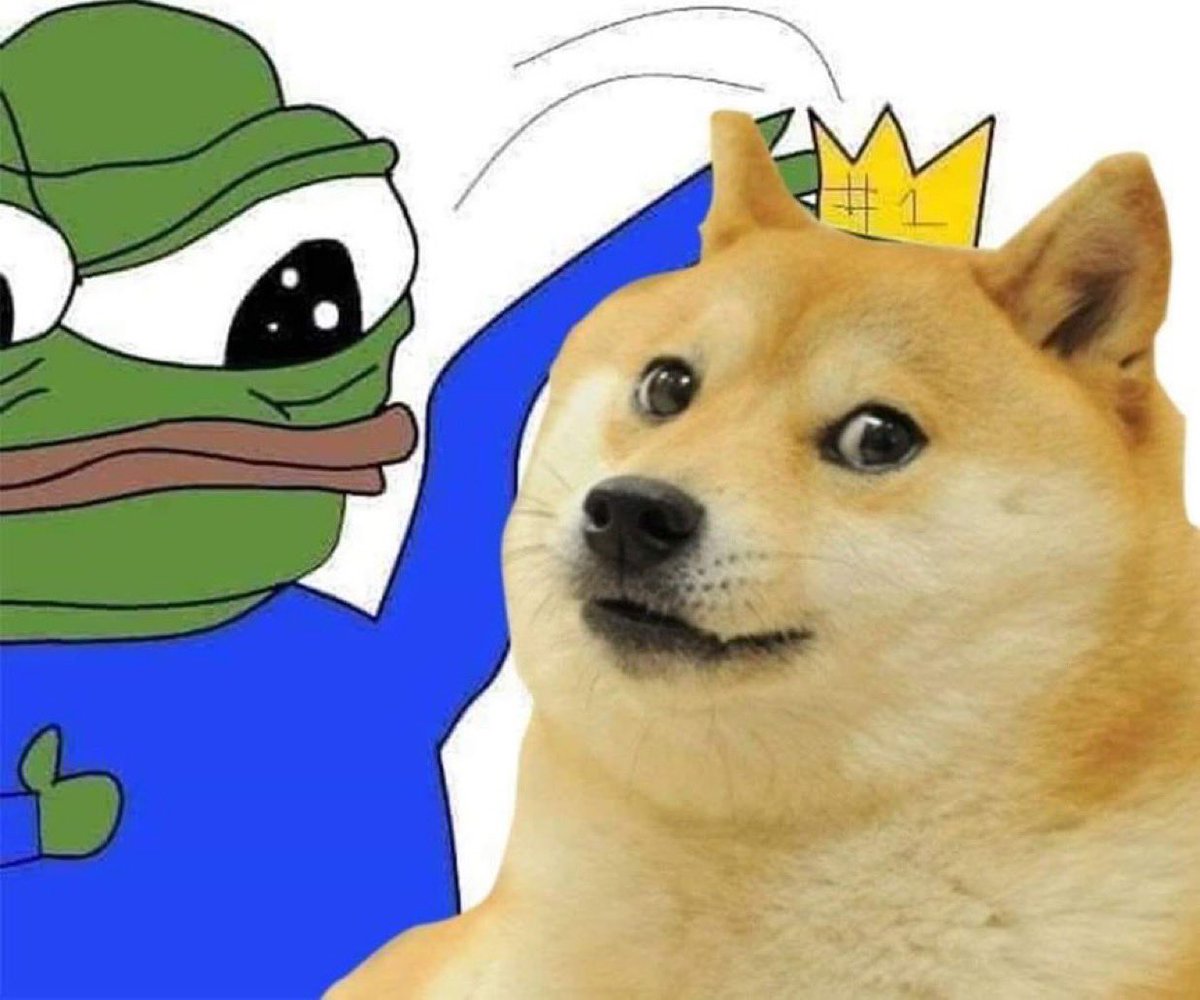 MegaDogeBlaster's tweet photo. @DogefatherMemes the dogefather is number 1 https://t.co/tu5HrD0myz