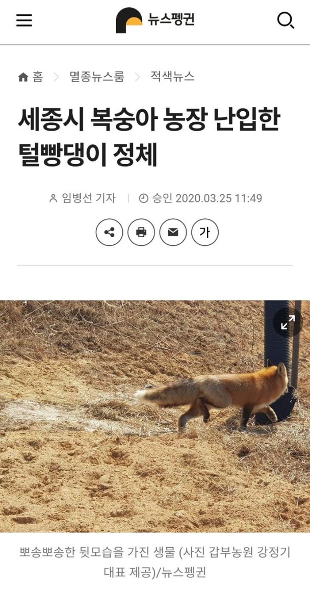 킴게ㅔㅔㅔ악스 (@keangae_mk2) on Twitter photo 