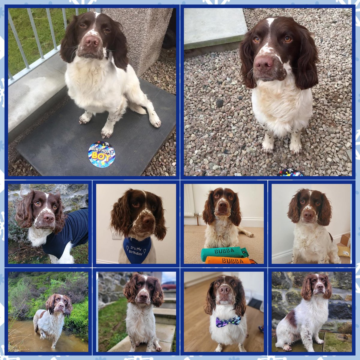 10 years of Bubba 👑💙🎈🔟