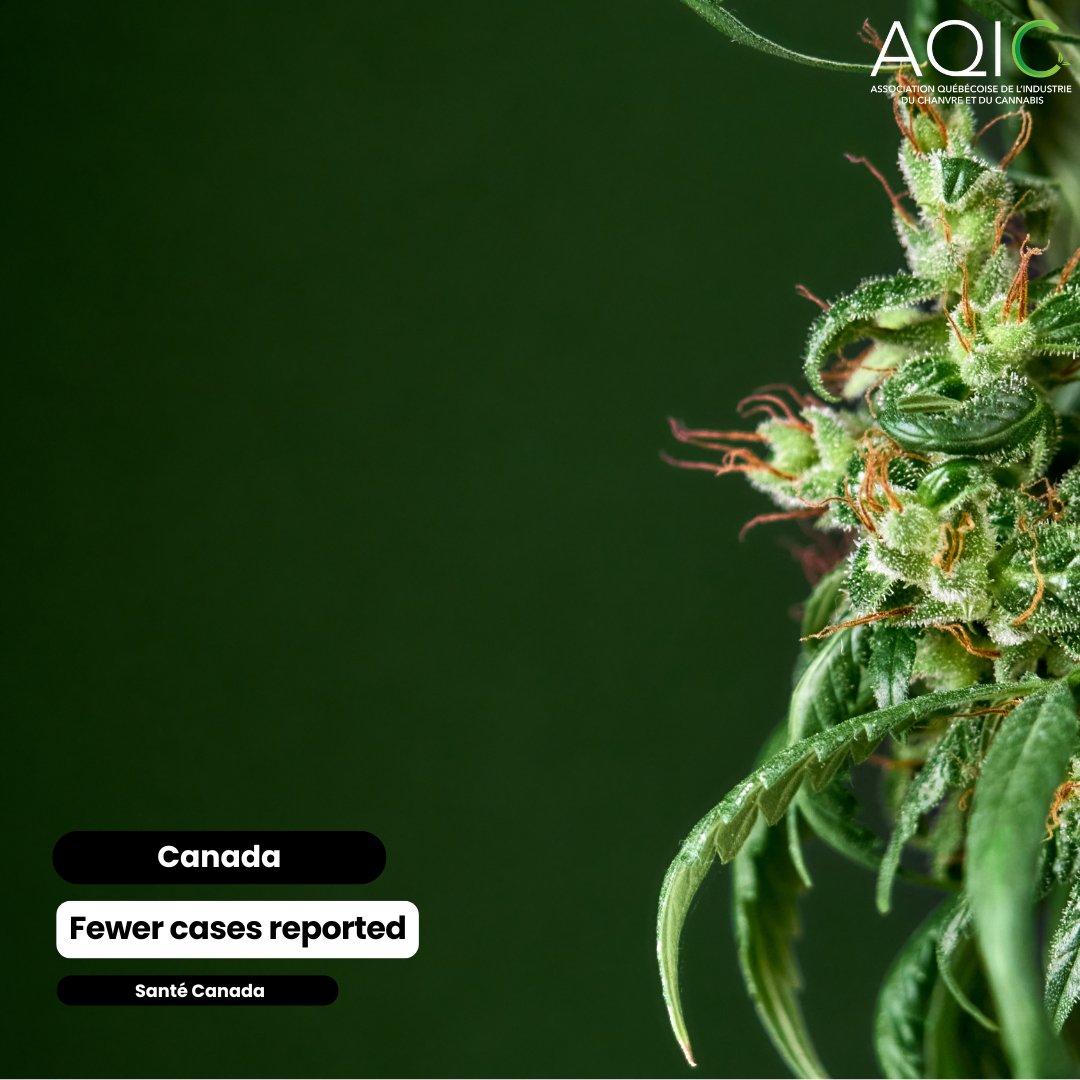 CANADA | <a href="/GovCanHealth/">Health Canada and PHAC</a> has released its annual “Data on cannabis adverse reactions” report. According to this new report, there has been a significant drop in the number of serious and non-serious cases reported.

To read the report, click the link in comments.
#cannabisqc