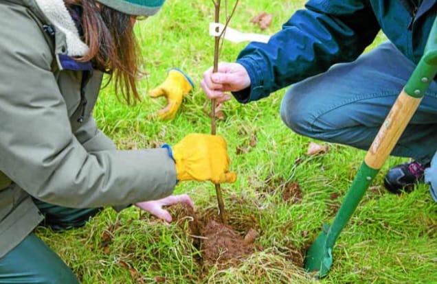 🌟 KCE Grants Extended! 🌍
We’re offering £15,000+ for projects that make Kent more sustainable: renewable energy, energy-efficient upgrades, biodiversity &amp; more!

Got a great idea? We’d love to hear it! Apply by 28 Feb 2025: kentcommunityenergy.org/grants/

#Sustainable #Kent