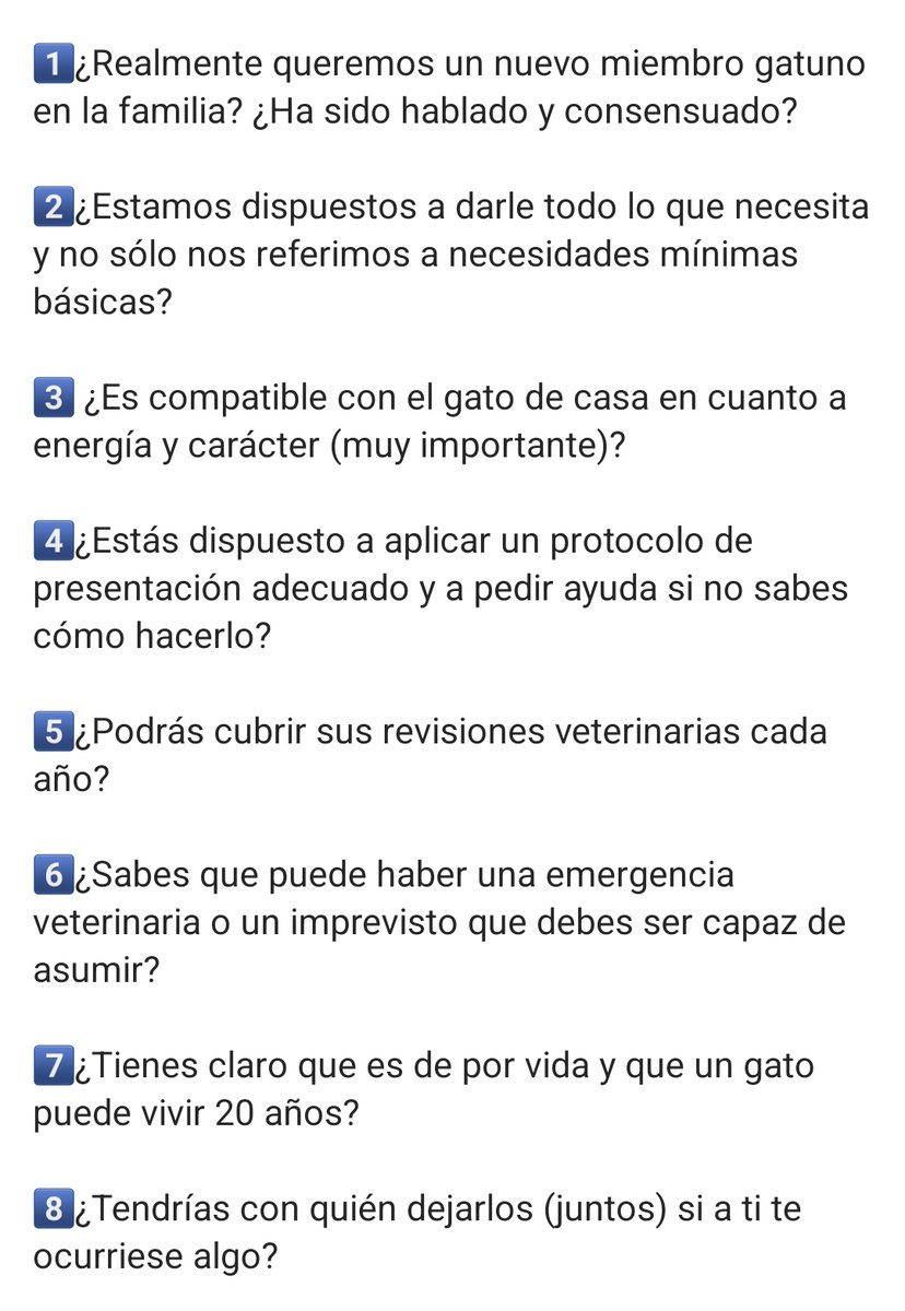 Hazte estas 8 preguntas necesarias, antes de ADOPTAR OTRO GATO/A.
⁉️⁉️⁉️
(Fuente: Cuidando a tu gato, en Instagram)
Por las adopciones Responsables.
adopcionesfelinasvalencia.es