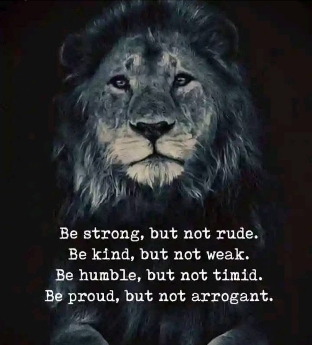 Kris Wouters tweet media