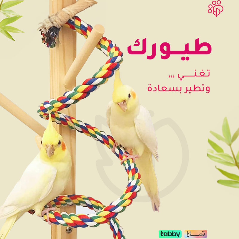 PetaholicSA's tweet photo. طيورك تغني وتطير بسعادة 🐦

 متجر #بيتاهوليك يوفر لهم الطعام، الأقفاص، والألعاب المثالية ! 

 #اليف #حيوانات_اليفه #petaholic #petsupply #pethealth #petcare #قطط #pet #dog #cat