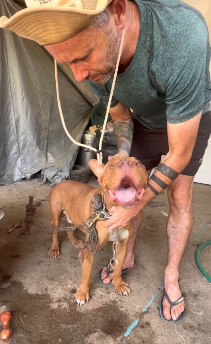 NiallHarbison's tweet photo. What I love most is Kitty doesn’t even have Instagram for Buster. 

The spoiling is not for show. The whole party was actually for Buster. 

Look at his happy little face 🥰🙏 (5/5) https://t.co/xYd6JmxgK1