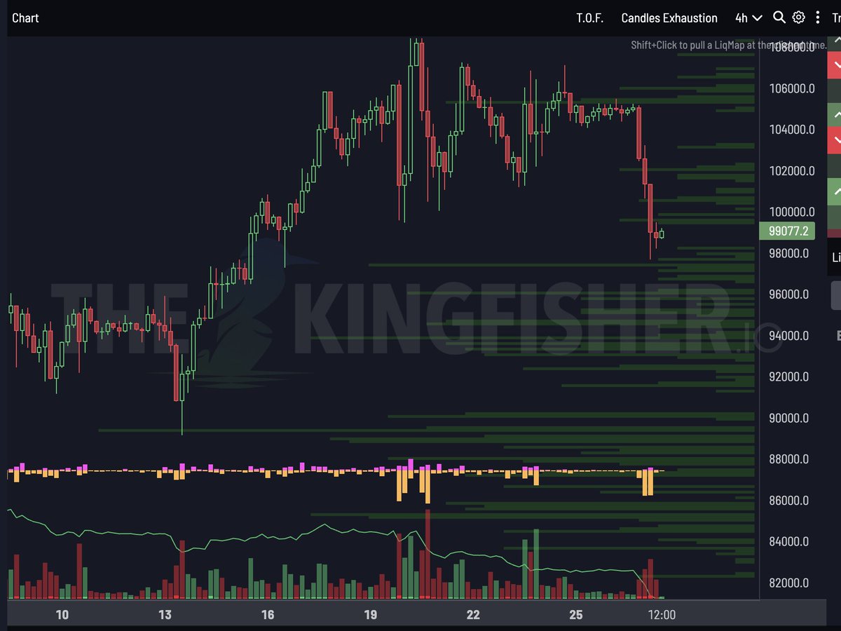 The market is displaying a fully negative Gamma Exposure (GEX), with liquidity actively being withdrawn as dealers aggressively hedge their positions. A significant high Z-score liquidation cluster has been identified at the 95k level. What we’re likely witnessing is a