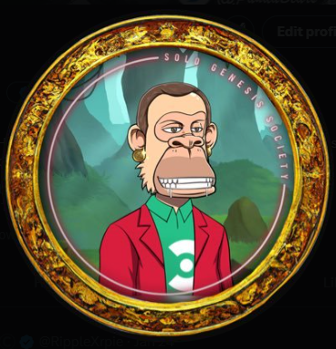 IAMXRP's tweet photo. Dont i just have the best Bored Ape #nft on #XRPL which is personification of @bgarlinghouse
From the exclusive 100 collection on https://t.co/NtqM8E8QEH NFT Market Place. Another in the collection sold for $20000 but that wasnt the legend Brad or have a NFT border. #soloApes https://t.co/gZLIoqZY7e