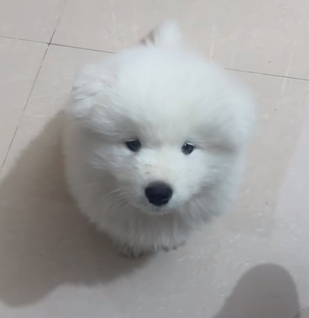 หอมเหม่งกันนอยได้ไม