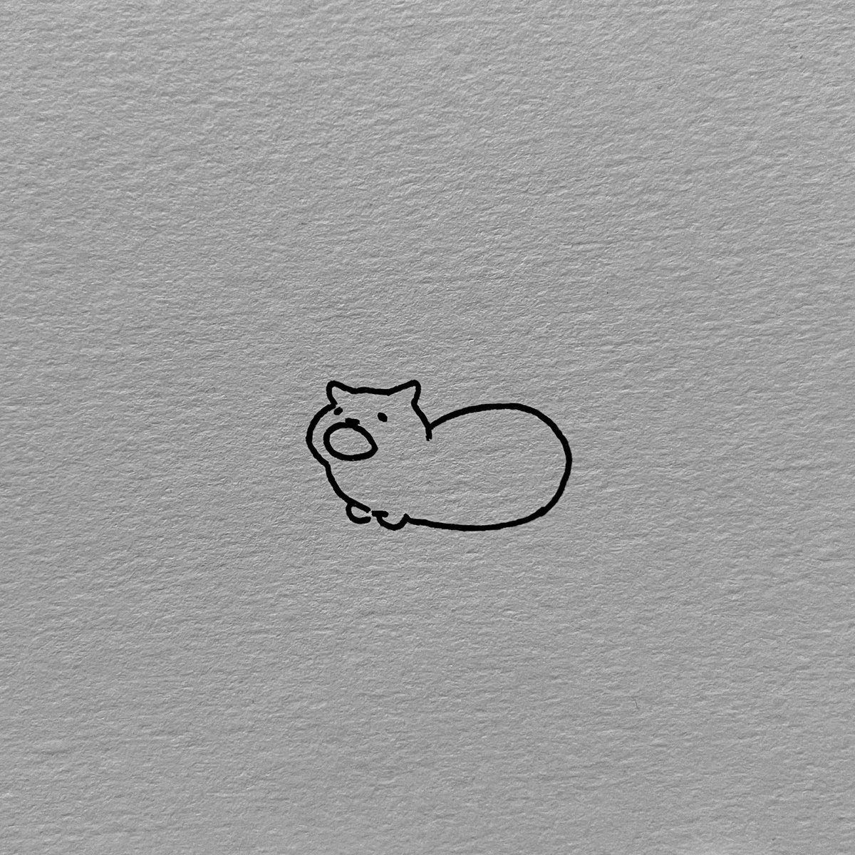 poorly drawn cats tweet media