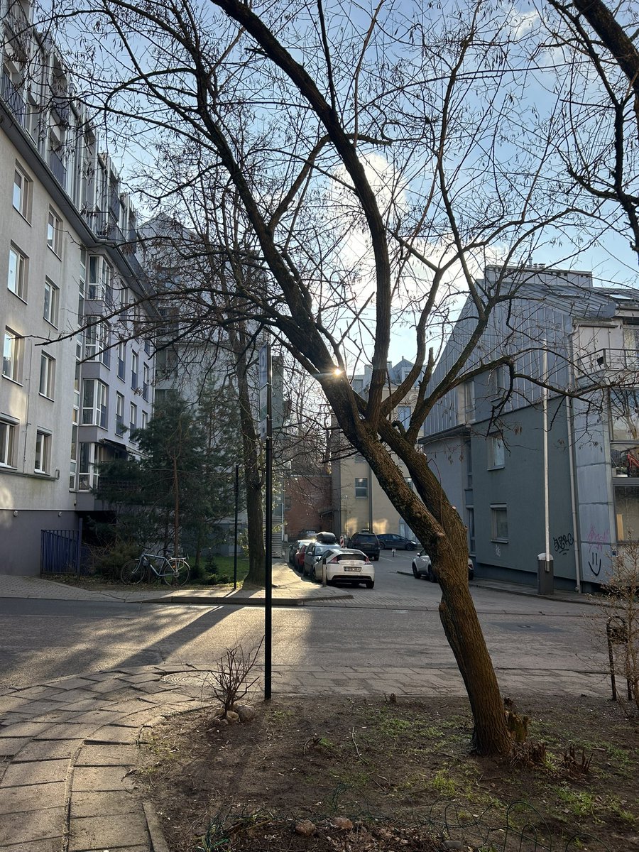 išlindo saulikė ir net gyvent norisi