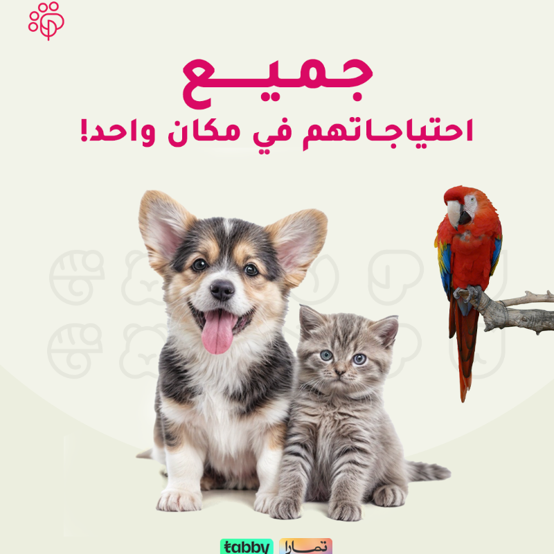PetaholicSA's tweet photo. 🐶🐱 صغير أو كبير، جرو أو قط شقي؟

 لدينا كل ما يناسب احتياجاتهم 🐾

تسوق لهم الآن من متجر و تطبيق #بيتاهوليك

 #اليف #حيوانات_اليفه #petaholic #petsupply #pethealth #petcare #قطط #pet #dog #cat