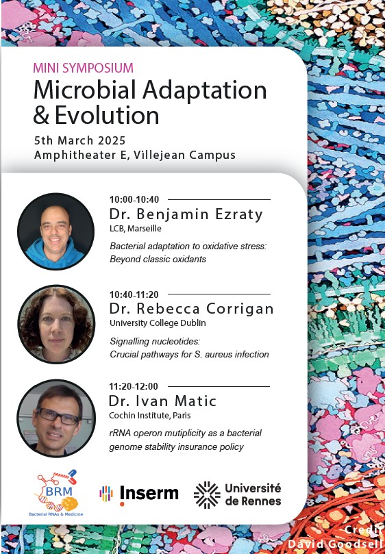 Severin Ronneau (@sronneau) on Twitter photo We’re hosting a free mini-symposium in Rennes (Villejean) with 3 fantastic speakers (<a href="/EzratyB/">Benjamin Ezraty</a> , <a href="/corrigar1/">Rebecca Corrigan</a> ) ! If you’re in the area and interested, feel free to join us for this exciting event ! We’re hosting a free mini-symposium in Rennes (Villejean) with 3 fantastic speakers (<a href="/EzratyB/">Benjamin Ezraty</a> , <a href="/corrigar1/">Rebecca Corrigan</a> ) ! If you’re in the area and interested, feel free to join us for this exciting event !