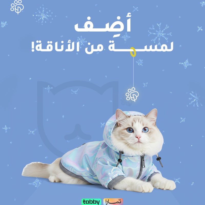 PetaholicSA's tweet photo. استمتع بأناقة اليفك ! 🐕

ملابس و أطواق وإكسسوارات تناسب كل الأذواق ✨

 #اليف #petaholic #petsupply #petcare #قطط #pet #dog #cat