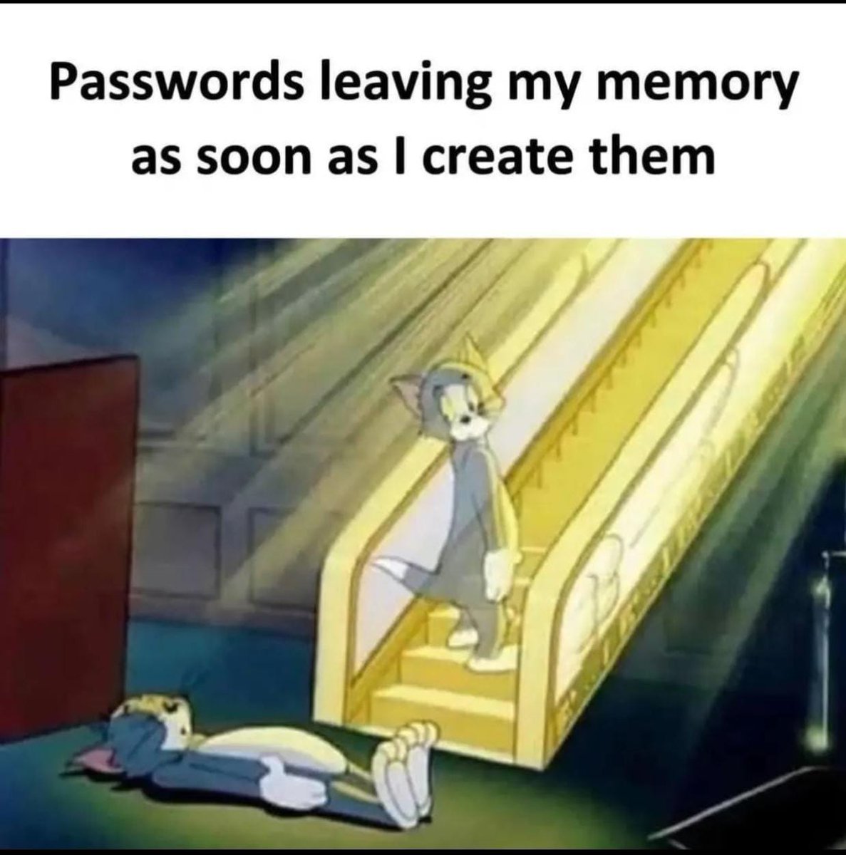 One Million IT Employees tweet media