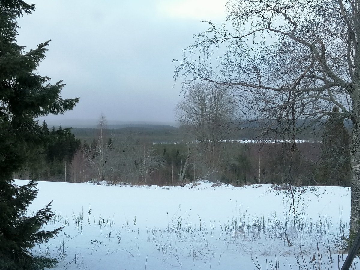 ylapihantila's tweet photo. Sää on kuin maaliskuussa! Pirtin nurkalla maa paljaana. Harvinaista runsaslumisella seudulla. Vuosina 2015 ja 2020 on ollut lauhoja, vähälumisia talvia.
#talvi #tammikuu #sääilmiö #pirtti #tupa #maaseutu #maalaismaisema https://t.co/2GxNtJDf8j