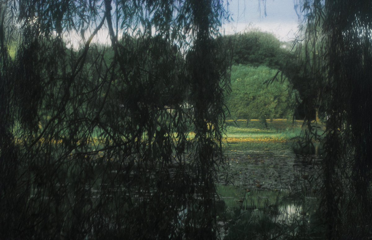 이른 イルン tweet media