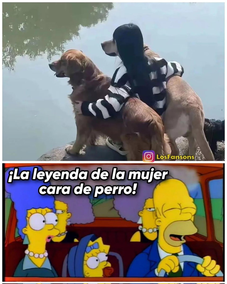 Los Fansons tweet media