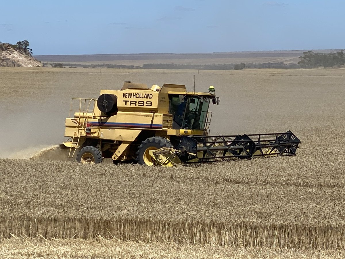 Liam Mann tweet media