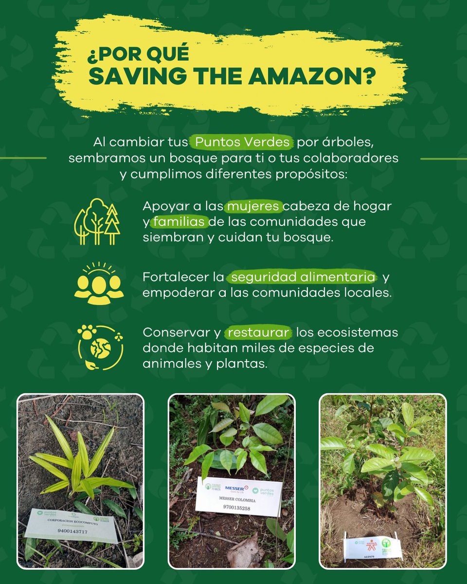 Saving The Amazon tweet media