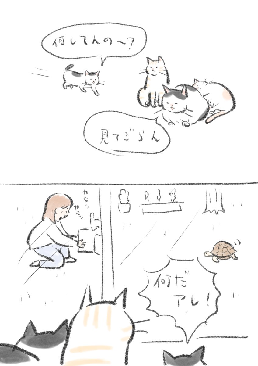 いつも何かくる庭。 