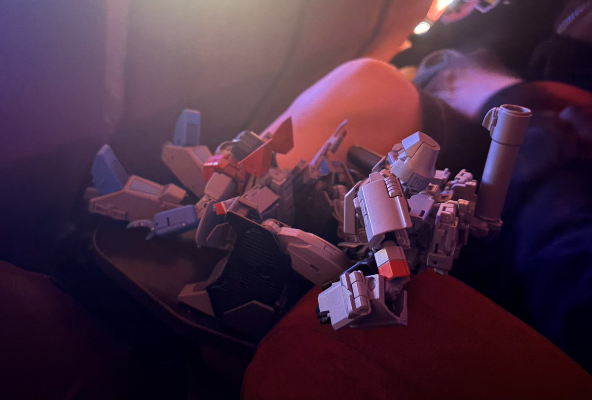 fencuary's tweet image. big day out