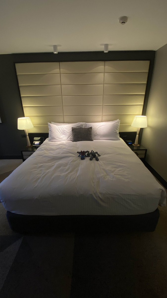 fencuary's tweet image. big day out