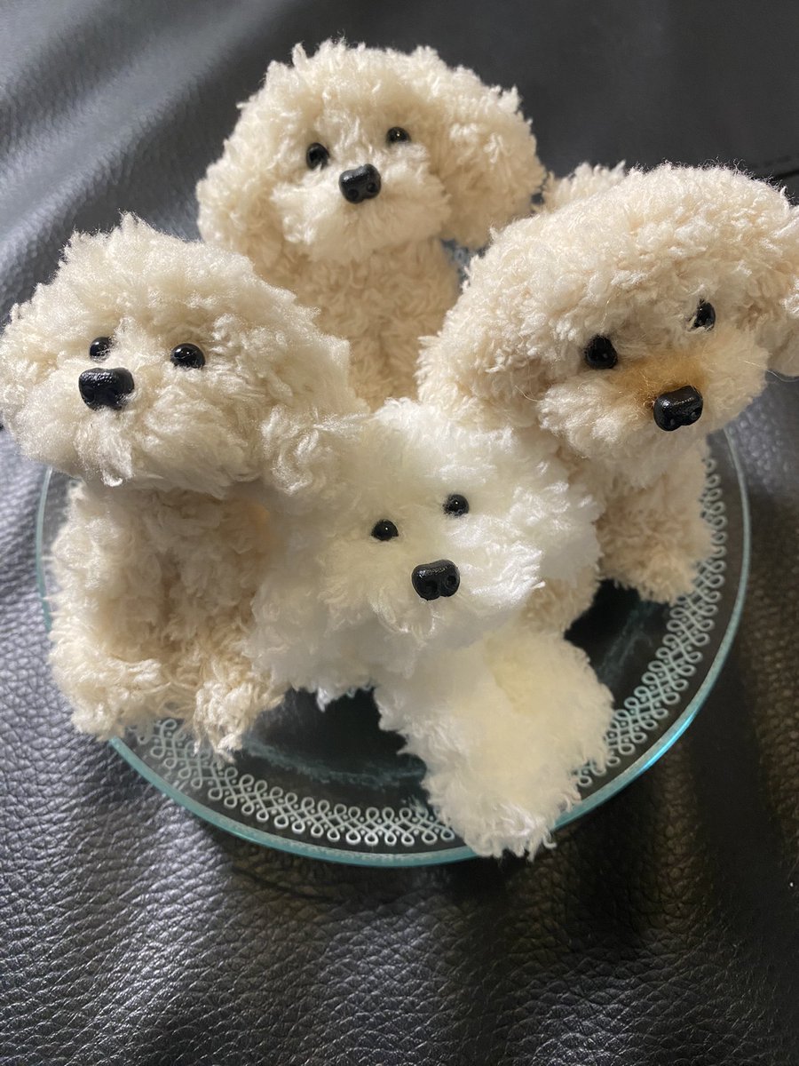 teftefff14's tweet photo. ウチの子と、友人宅に送る様に��しずつ作り足しています🎀
顔を可愛くするのがホントに難しくて😱少しの事で一気に崩れてします💦
続き��明日少し植毛して、友人宅のワンコちゃんに似せながら、可愛く仕上げたいと思います😊
 #モールドール  #トイプードル https://t.co/jf1ruFXlII
