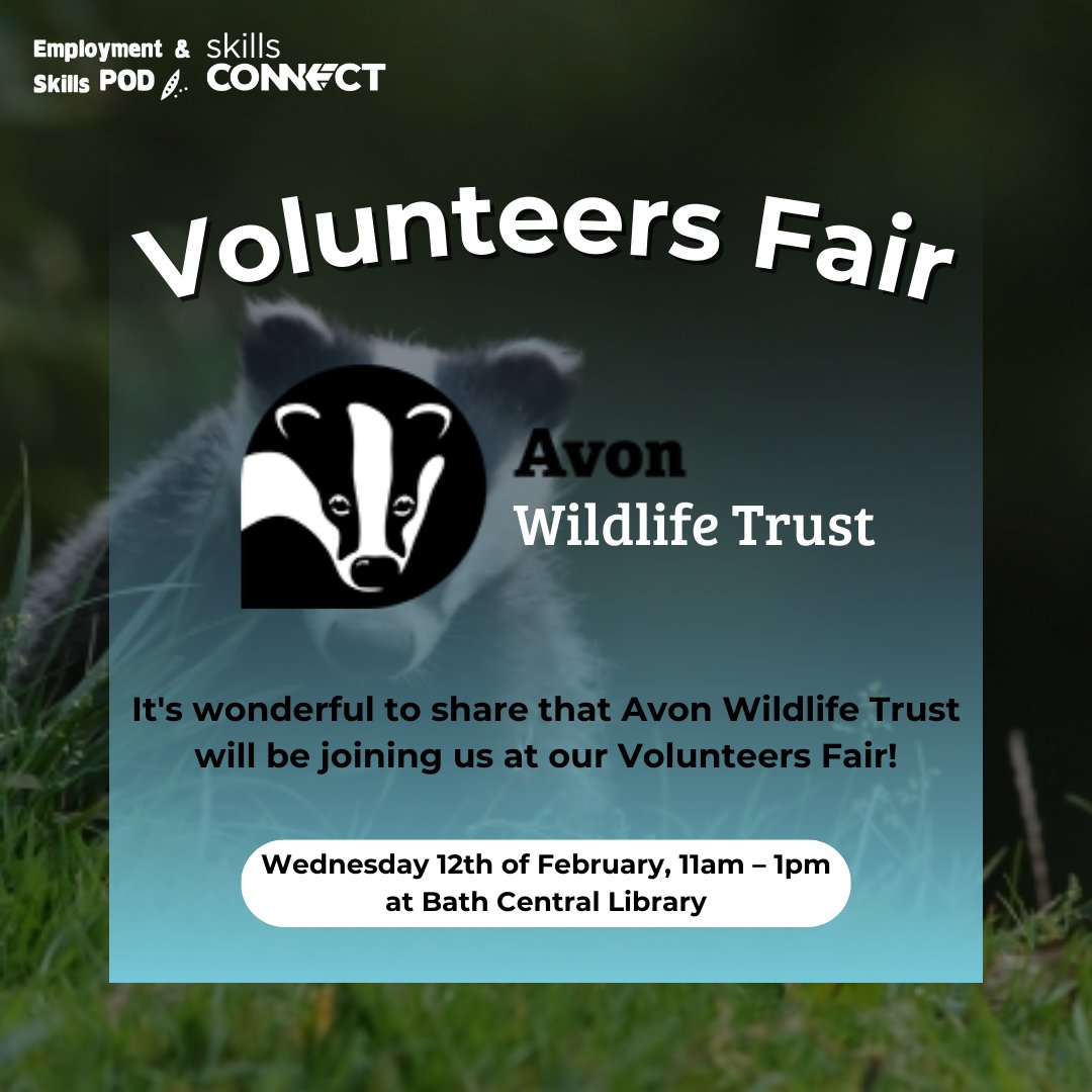 Achieve in B&NES tweet media