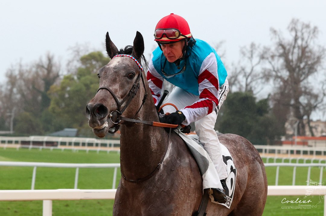 Henri-Alex Pantall (@alexpantall) on Twitter photo KILLARY KING (G3) 2025 ๐๐
Prix Sky Lawyer at Cagnes sur Mer
Born & raised and trained at #Beauprรฉau <a href="/AlexPantall/">Henri-Alex Pantall</a>
Breeder #YvettePantall <a href="/AlexPantall/">Henri-Alex Pantall</a>
Jockey <a href="/piccone_tony/">Piccone Tony</a>
Photos Couleur Casaques KILLARY KING (G3) 2025 ๐๐
Prix Sky Lawyer at Cagnes sur Mer
Born & raised and trained at #Beauprรฉau <a href="/AlexPantall/">Henri-Alex Pantall</a>
Breeder #YvettePantall <a href="/AlexPantall/">Henri-Alex Pantall</a>
Jockey <a href="/piccone_tony/">Piccone Tony</a>
Photos Couleur Casaques