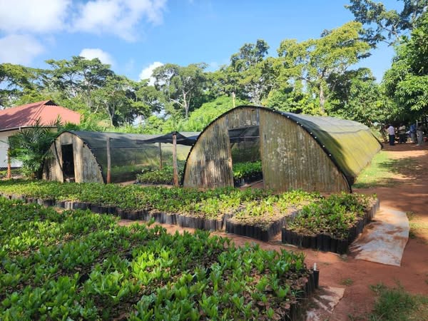 Some pictures from a visit to Tanzania Agriculture Research Institute in Mtwara, Tanzania by a team from ACA in preparation for the 19th Edition of the MTP to be held for the first time in East Africa. The team had discussions with the management and inspected some facilities.