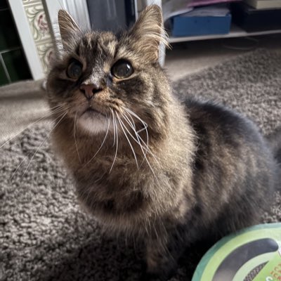 #NewProfilePic
