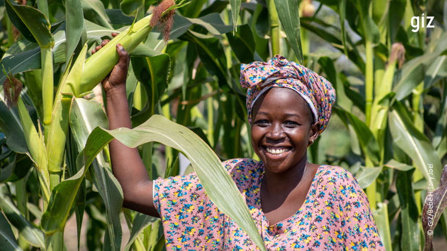 GIZ South Sudan (@giz_southsudan) on Twitter photo 🌱New Multi-Donor Action “Promoting #ClimateResilientAgriculture & Value Chains" presented to MAFS 🇸🇸. Co-funded by @EUinSSD 🇪🇺, Germany 🇩🇪 & <a href="/NLinSouthSudan/">Embassy of the Netherlands in South Sudan</a> 🇳🇱 with 48 Mio EUR, the initiative supports 27,500 smallholder households in 4 states to boost #FoodSecurity.
<a href="/GERinSSD/">German Embassy South Sudan</a> 🌱New Multi-Donor Action “Promoting #ClimateResilientAgriculture & Value Chains" presented to MAFS 🇸🇸. Co-funded by @EUinSSD 🇪🇺, Germany 🇩🇪 & <a href="/NLinSouthSudan/">Embassy of the Netherlands in South Sudan</a> 🇳🇱 with 48 Mio EUR, the initiative supports 27,500 smallholder households in 4 states to boost #FoodSecurity.
<a href="/GERinSSD/">German Embassy South Sudan</a>
