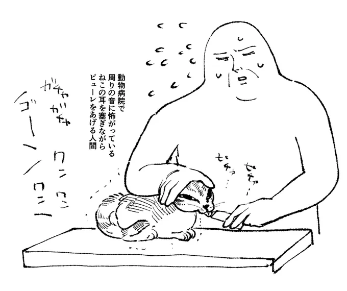 ねこ日記 