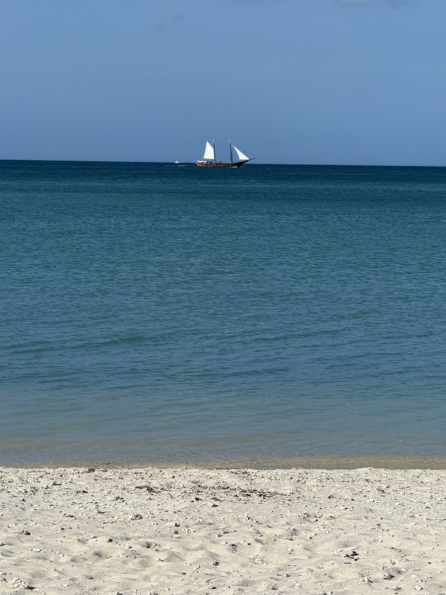 Watching <a href="/abfoy/">Andy Foy</a> and colleagues debate fetal surgery for spina bifida at the American Society for Pediatric Neurosurgery in Aruba