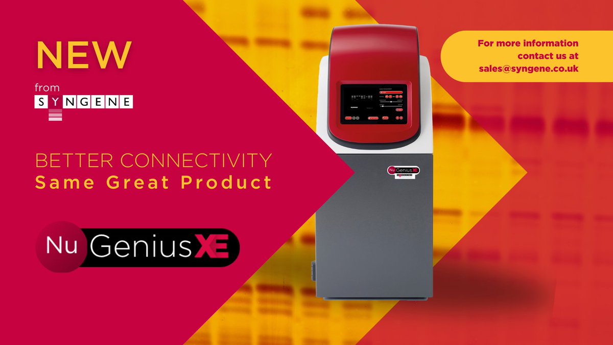 Synoptics tweet media