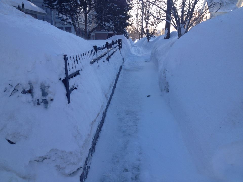 amante_animali's tweet image. From 10 years ago today - hope I never see it again #BlizzardOf2015  #snowmageddon