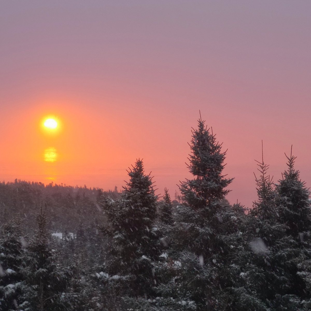 Lénième tweet media