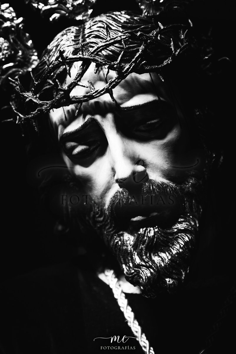 Miura Cómitre Fotografías tweet media