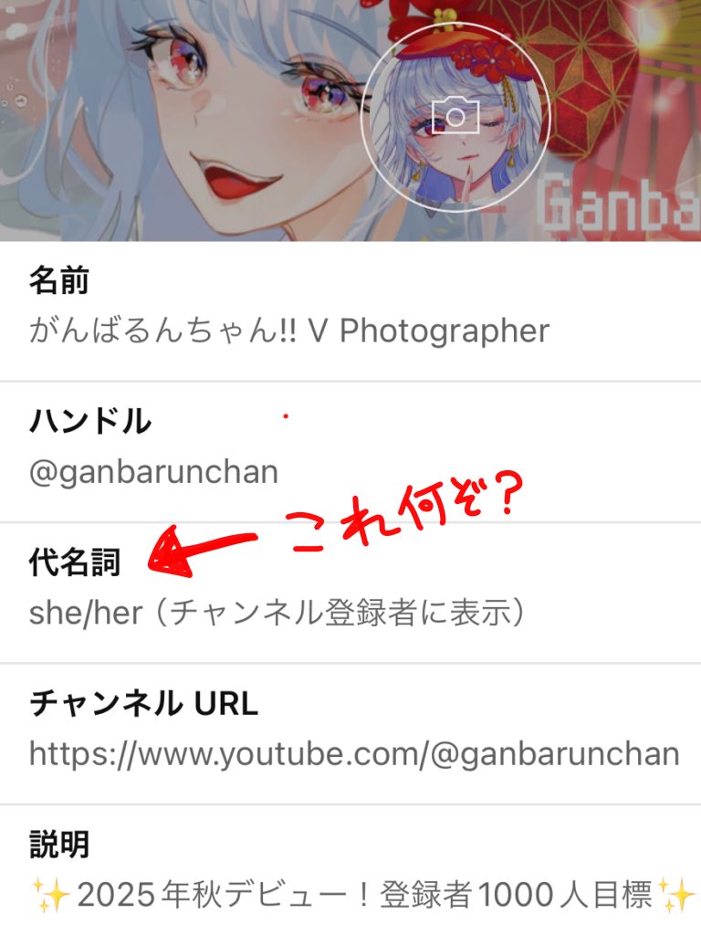 ganbarunchan_'s tweet photo. まだ日本語対応してないけど、
YouTubeの代名詞って何ぞや？ https://t.co/momyHga1aK