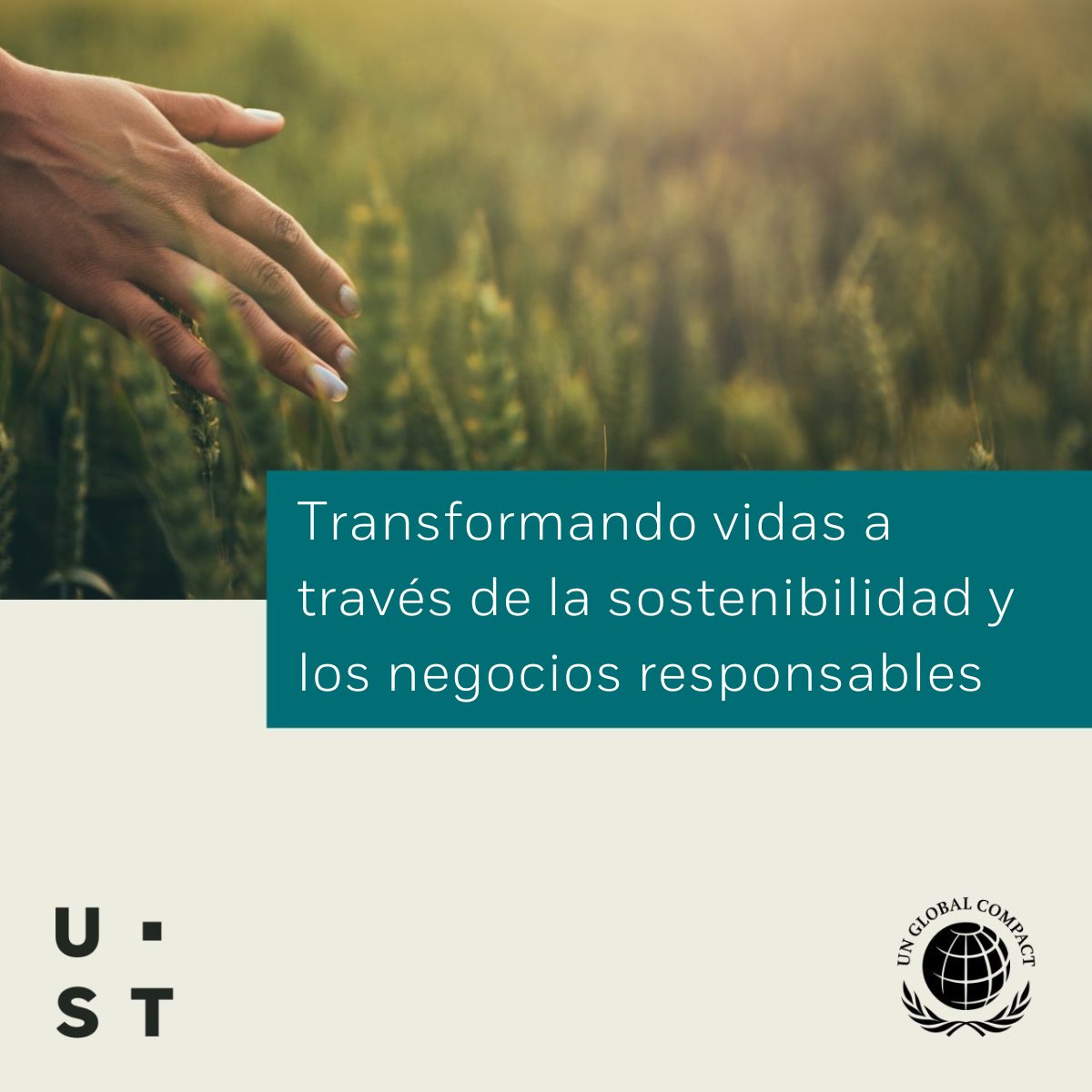🌐 Nos enorgullece anunciar que UST se une al <a href="/globalcompact/">UN Global Compact</a>, la mayor iniciativa de sostenibilidad corporativa.

Reafirmamos nuestro compromiso con los ODS de la ONU y valores como humildad, humanidad e integridad.

🌿Juntos, impulsamos soluciones sostenibles con impacto global.