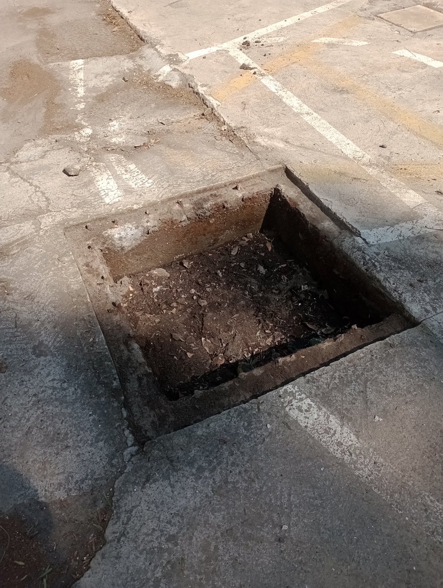 guceji's tweet photo. @SEGIAGUA se solicita el apoyo para desazolve completo y desalojo de aguas negras en área verde de colonia divisadero, alcaldia Tlalpan, esto obedece a qué ya los pozos están llenos y se empieza a inundar la calle, gracias y en espera de su pronta respuesta. https://t.co/TOnNwVPTTq