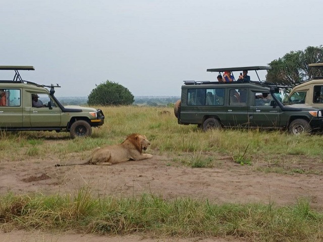 Visit Uganda Today tweet media