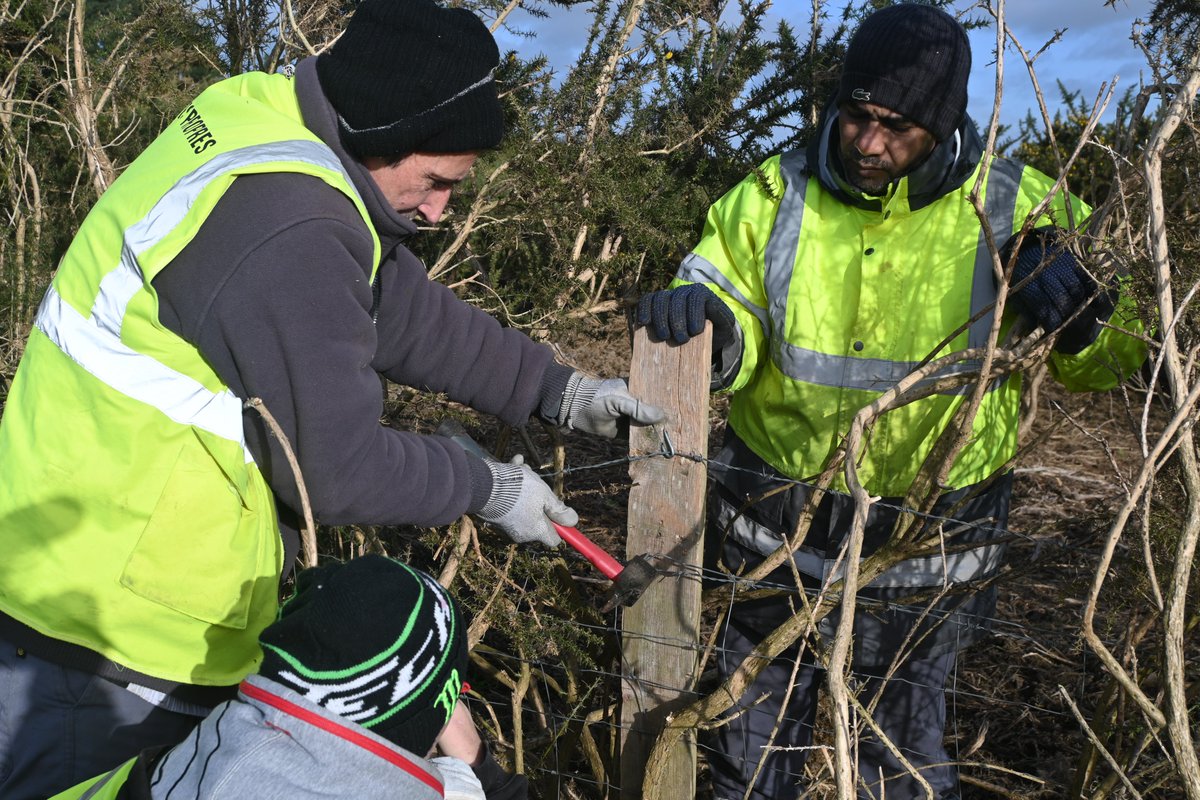 🌿 Sur les prairies de la Warenne à Wimereux, une équipe dédiée entretient régulièrement le site naturel, encadrée par les services techniques du Golf de Wimereux et le Syndicat Mixte du Parc naturel régional des caps et marais d'Opale.
#Biodiversité #Insertion #Environnement