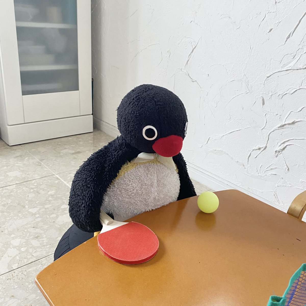 pingmyping's tweet photo. 🐧🏓 https://t.co/iITKrs7bfC