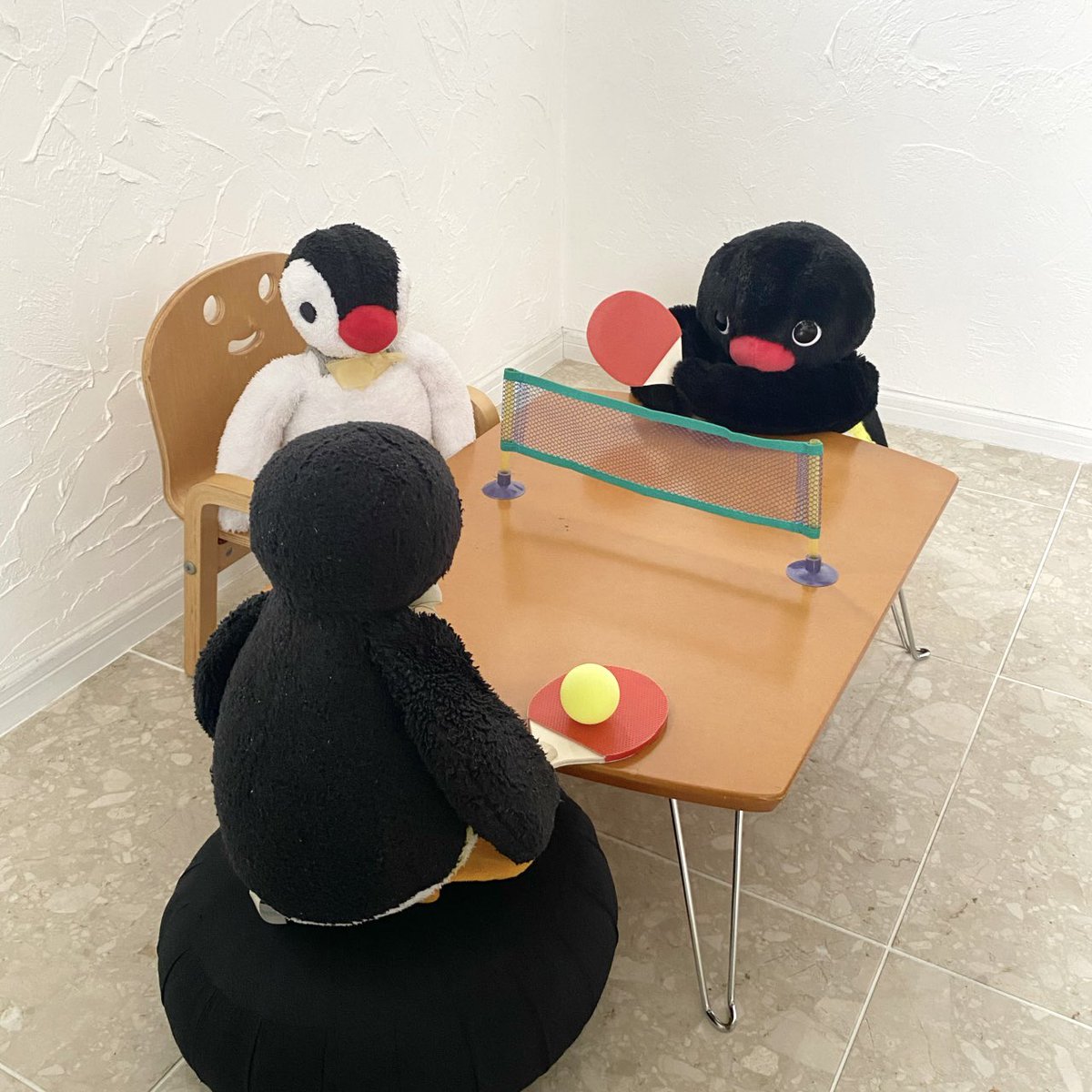 pingmyping's tweet photo. 🐧🏓 https://t.co/iITKrs7bfC