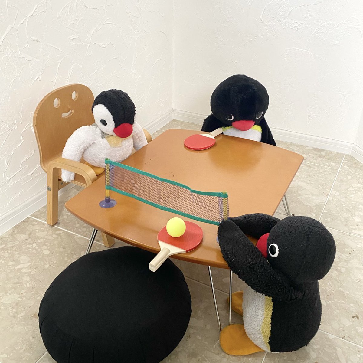 pingmyping's tweet photo. 🐧🏓 https://t.co/iITKrs7bfC