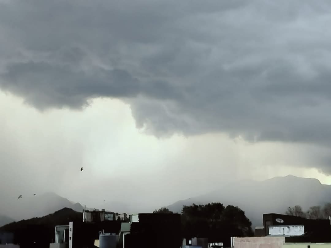 TenkasiWeather's tweet photo. மினி ஊட்டியாக மாறிய கோவில்பட்டி.  கடந்த 125 ஆண்டுகளில் கோவில்பட்டி வானிலை- கடந்து வந்த பாதை. கடந்த 4 ஆண்டுகளாக அதிகரிக்கும் மழை பொழிவு. பல்வேறு தகவல்களுடன் இன்றைய கோவில்பட்டி குறித்து விரிவான தகவல்கள் #kovilpatti

Click : https://t.co/aKfIs2n8Gn https://t.co/zZxeRUizKM