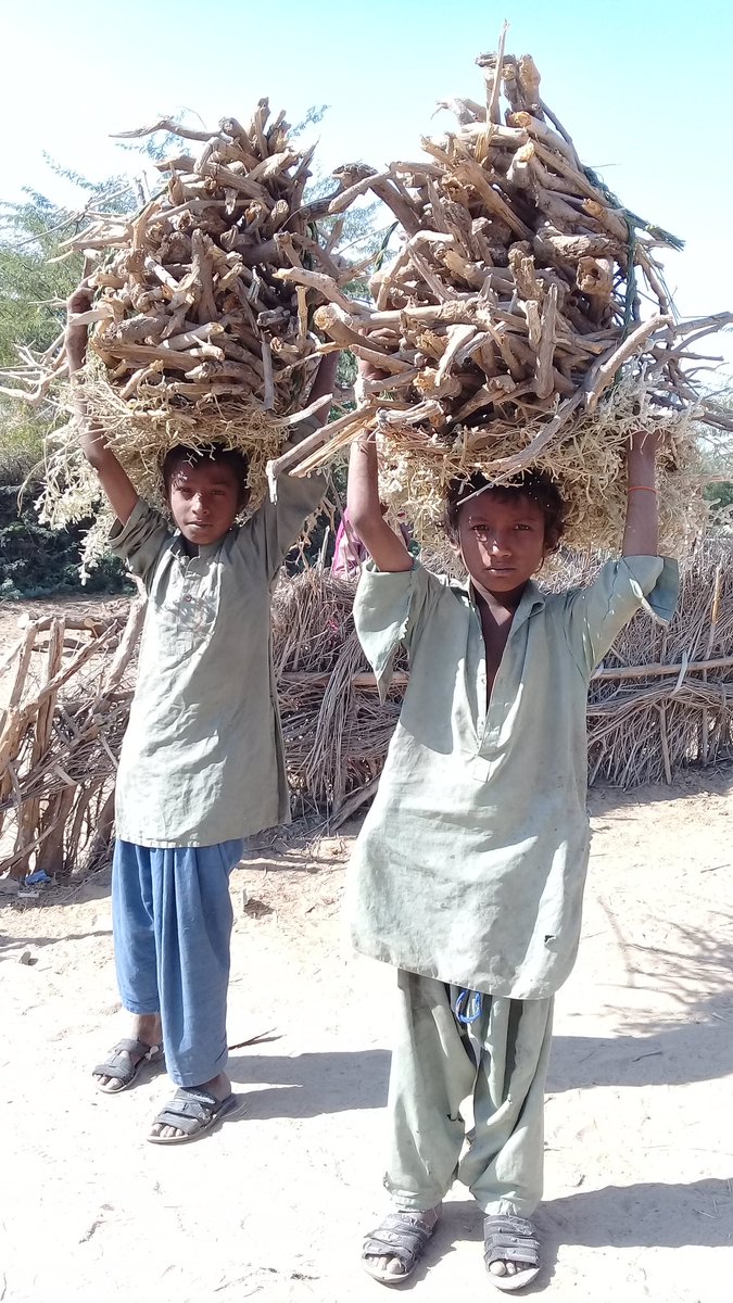 UstadrahiS's tweet photo. امير سنڌ جا غريب ماڻھو
Poor people of wealthy Sindh
#NoMoreCanalsOnIndus
#SaveTheRamarSitesOfSindh
#SindhWantsPeaceKashmore
@antonioguterres @UN 
@UNEP @realDonaldTrump 
@CoreyWilliam33 @BBCUrdu 
@BRICSinfo @BradSherman https://t.co/rAq2UnbFNY