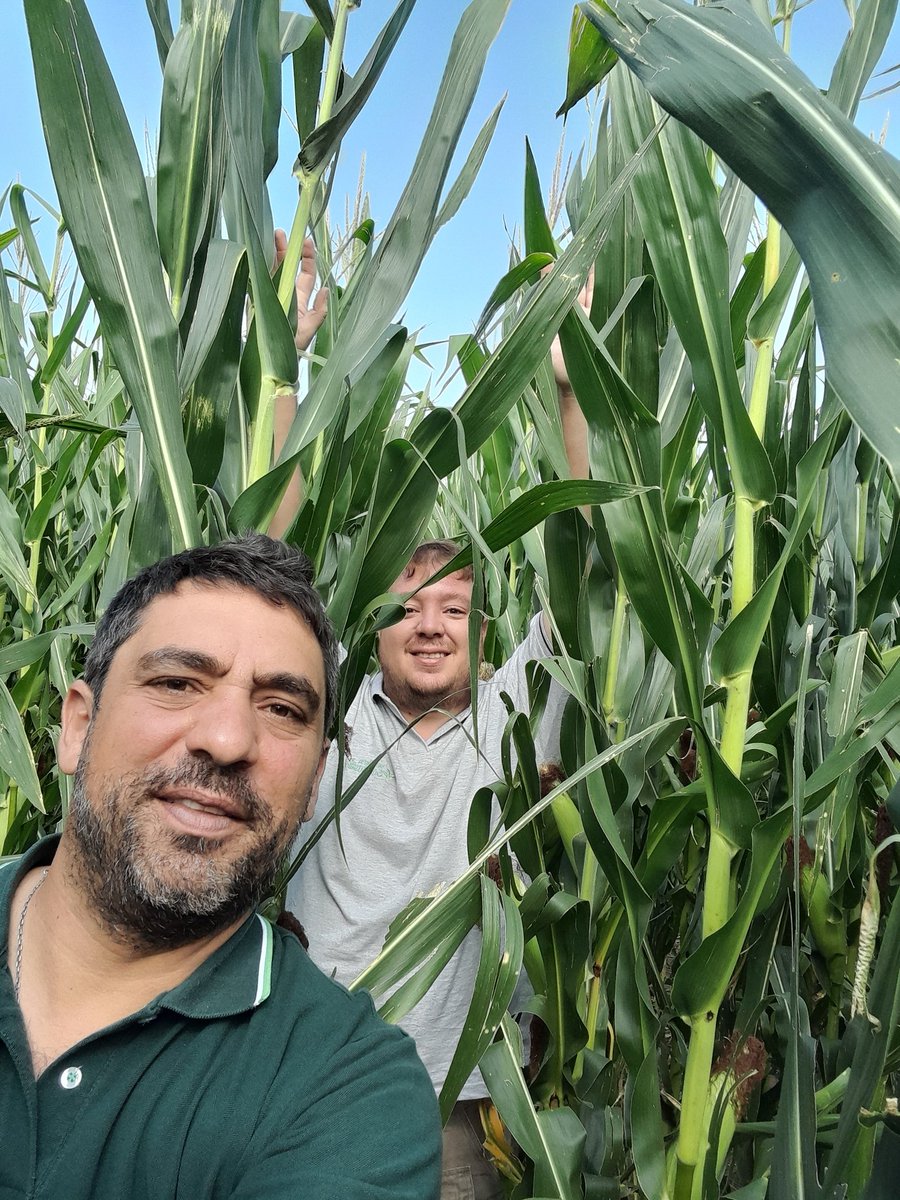 Mariano Martinez tweet media